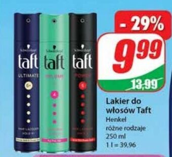 Dino Lakier do włosów Taft Power oferta