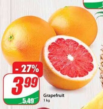 Dino Grapefruit czerwony oferta