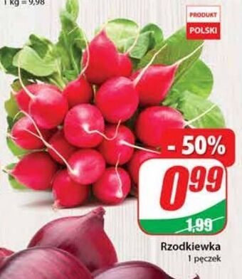 Dino Rzodkiewka oferta