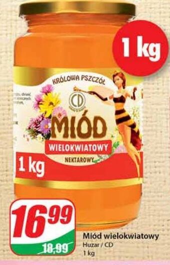 Dino Miód wielokwiatowy nektarowy Cd Królowa Pszczół oferta