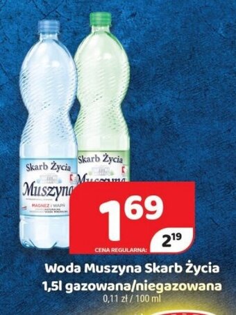 Delfin Woda Muszyna Skarb Życia 1,5l oferta