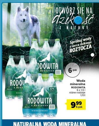 Carrefour Woda gazowana Rodowita Z Roztocza oferta
