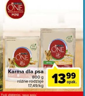 Carrefour Karma dla psa active mini kurczak i ryż Purina One oferta