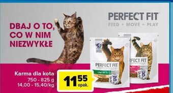 Carrefour Karma dla kota sterile 1+ Perfect Fit oferta