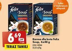 Biedronka Karma dla kota wołowina kurczak jagnięcina Purina Felix Soup Original oferta