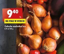 Biedronka Cebula szalotka oferta