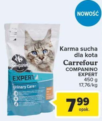 Carrefour Karma dla kota expert Carrefour Companino oferta