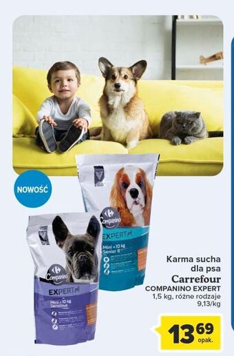 Carrefour Karma dla psa mini sensitive Carrefour Companino oferta