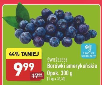 ALDI Borówka amerykańska Świeże Jesz oferta