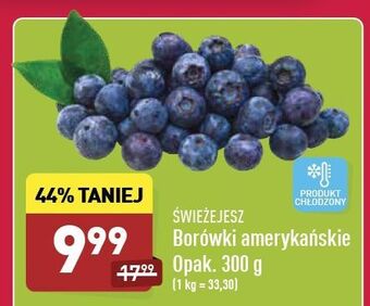 ALDI Borówka amerykańska Świeże Jesz oferta