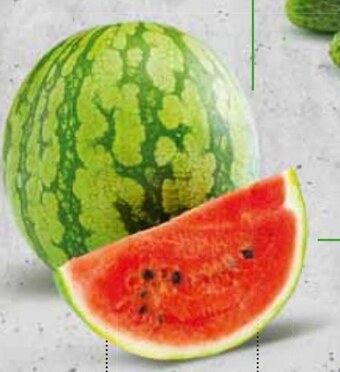 Stokrotka Arbuz oferta