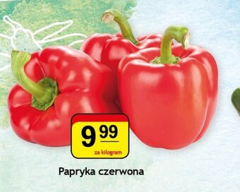 Gram Market Papryka czerwona 1kg oferta