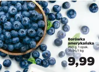 Netto Borówka amerykańska 250g oferta