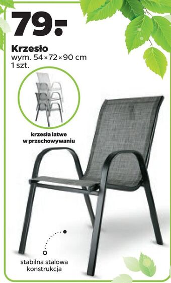 Netto Krzesło oferta