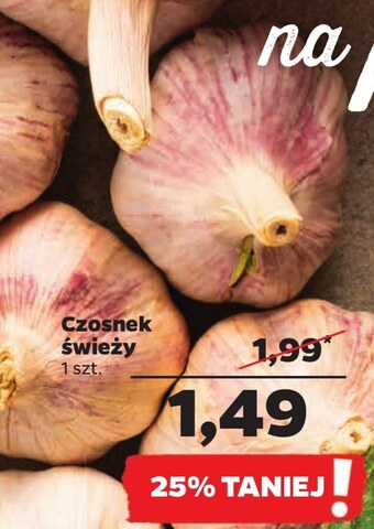 Netto Czosnek oferta