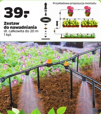 Netto Zestaw do nawadniania oferta