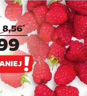 Netto Maliny oferta