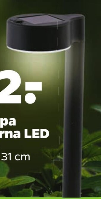 Netto Lampa solarna oferta