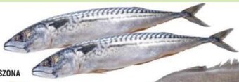 E.Leclerc Makrela oferta