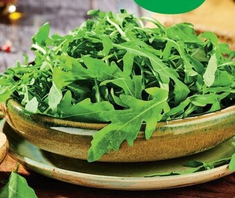 Biedronka Rukola Vital Fresh oferta