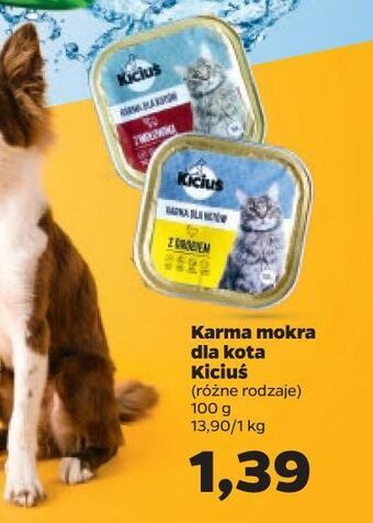 Netto Karma dla kota z wołowiną Kiciuś oferta