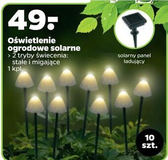 Netto Lampa solarna czarna oferta