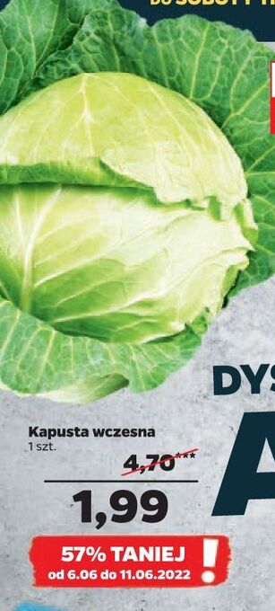 Netto Kapusta wczesna oferta
