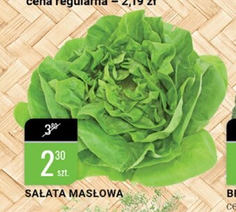 bi1 Sałata masłowa 1 szt. oferta