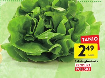 Intermarche Sałata oferta