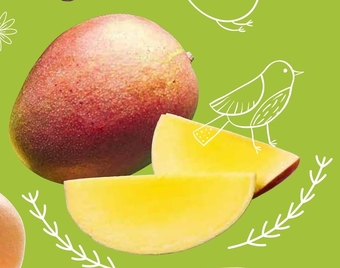 ALDI Mango oferta