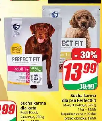 Auchan Karma dla psa adult 1+ dla psa m/l 1 SZT 825 G oferta