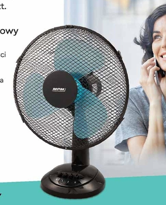 Biedronka Wentylator Hoffen oferta