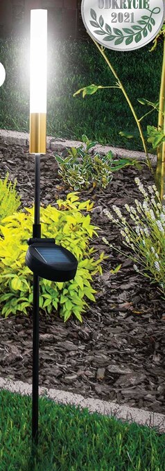Biedronka Lampa solarna Gardenic oferta