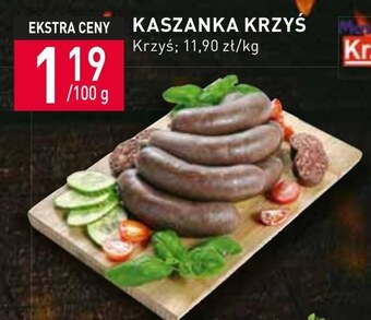 Stokrotka Kaszanka Krzyś oferta