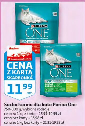 Auchan Karma dla kota sterilcat wołowina i pszenica Purina One oferta
