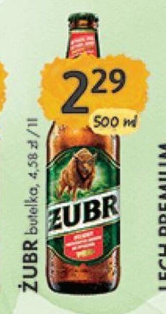 Żubr 500ml