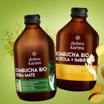 Żabka Kombucha Dobra Karma 330ml oferta