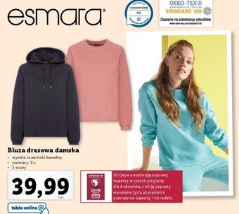 Lidl Bluza dresowa damska oferta