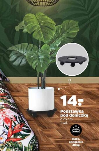 Netto Podstawka pod doniczkę oferta