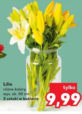 Kaufland Lilia oferta