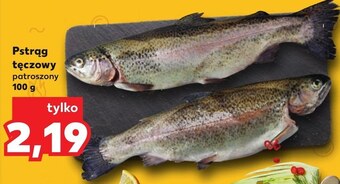 Kaufland Pstrąg tęczowy oferta
