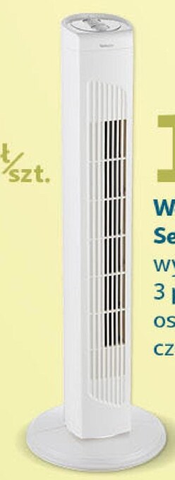 Auchan Wentylator Selecline oferta