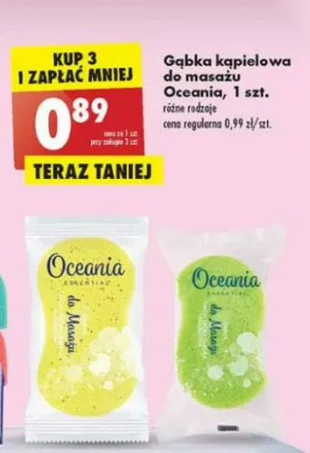 Biedronka Gąbka do masażu Oceania oferta