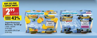 Biedronka Jogurt kremowy z jeżynami Amorres oferta