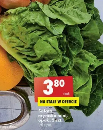 Biedronka Sałata rzymska mini oferta