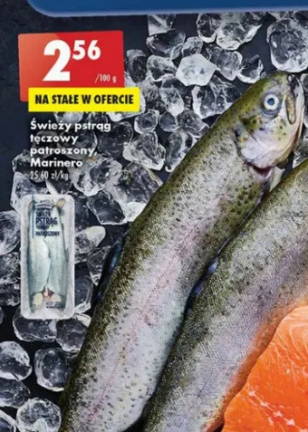 Biedronka Pstrąg tęczowy patroszony Marinero oferta