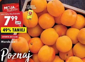 Biedronka Morele oferta