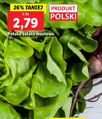 Lidl Sałata masłowa oferta