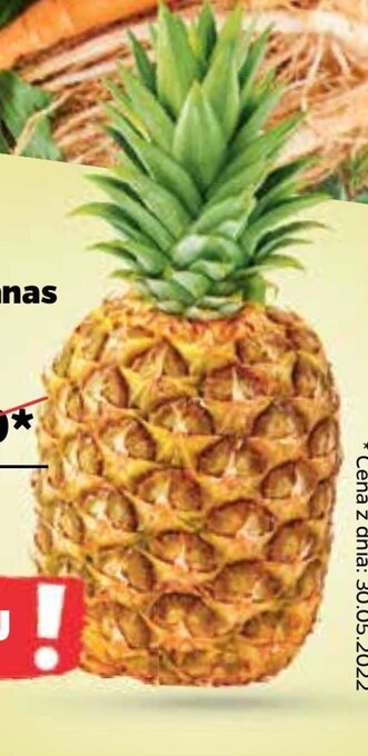 Netto Ananas oferta