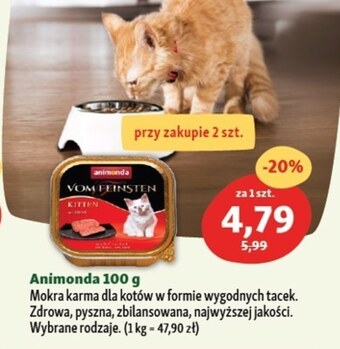 Maxi Zoo Karma dla kota Animonda oferta